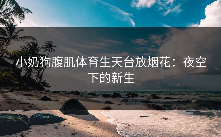 小奶狗腹肌体育生天台放烟花：夜空下的新生