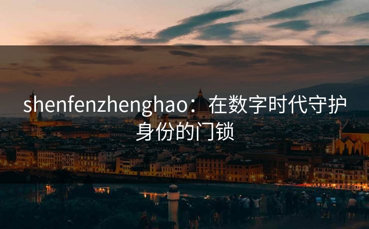 shenfenzhenghao：在数字时代守护身份的门锁