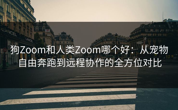 狗Zoom和人类Zoom哪个好：从宠物自由奔跑到远程协作的全方位对比